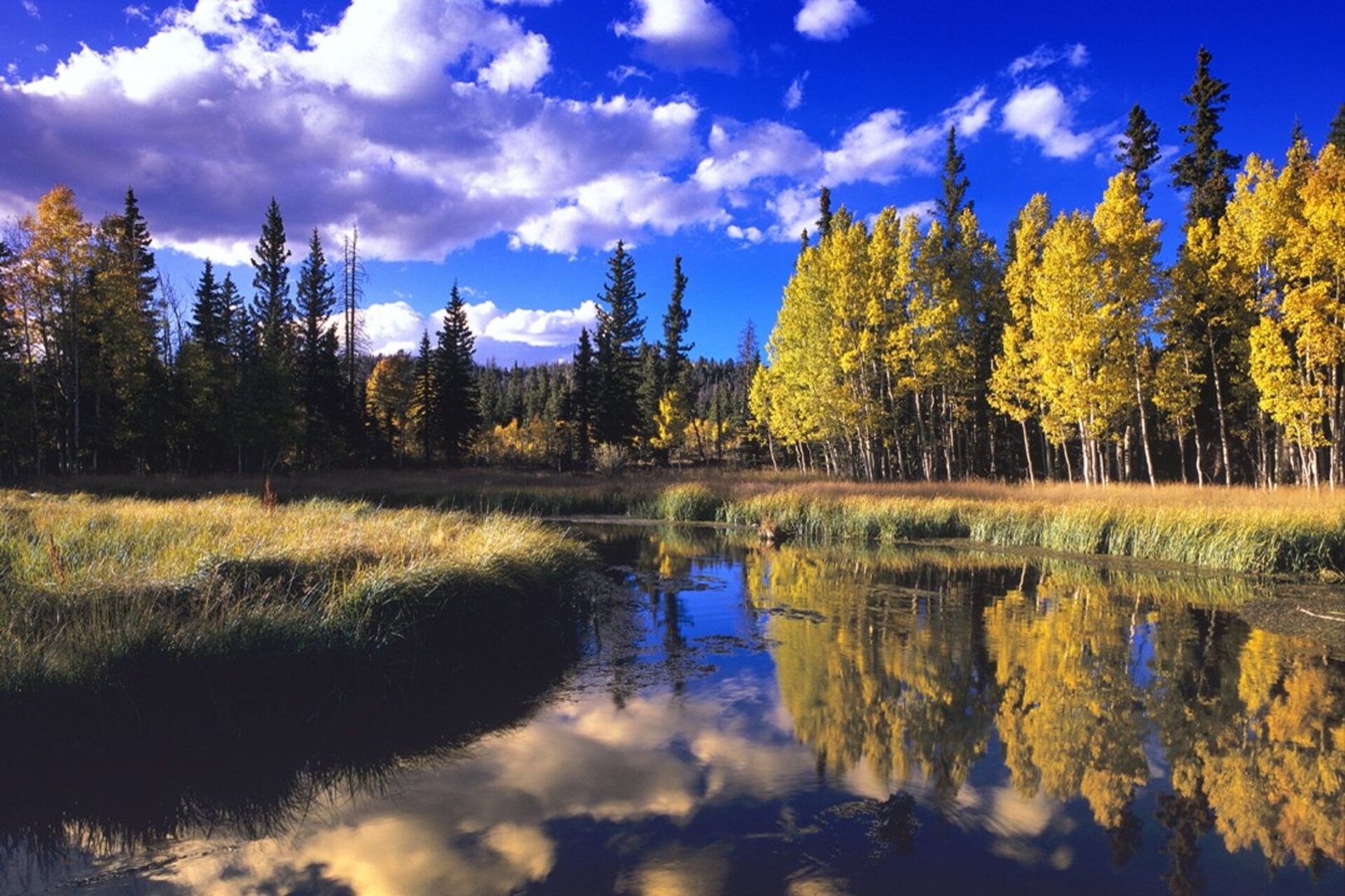 Still mountain lake reflecting the forest near Lazy Duck Cottages