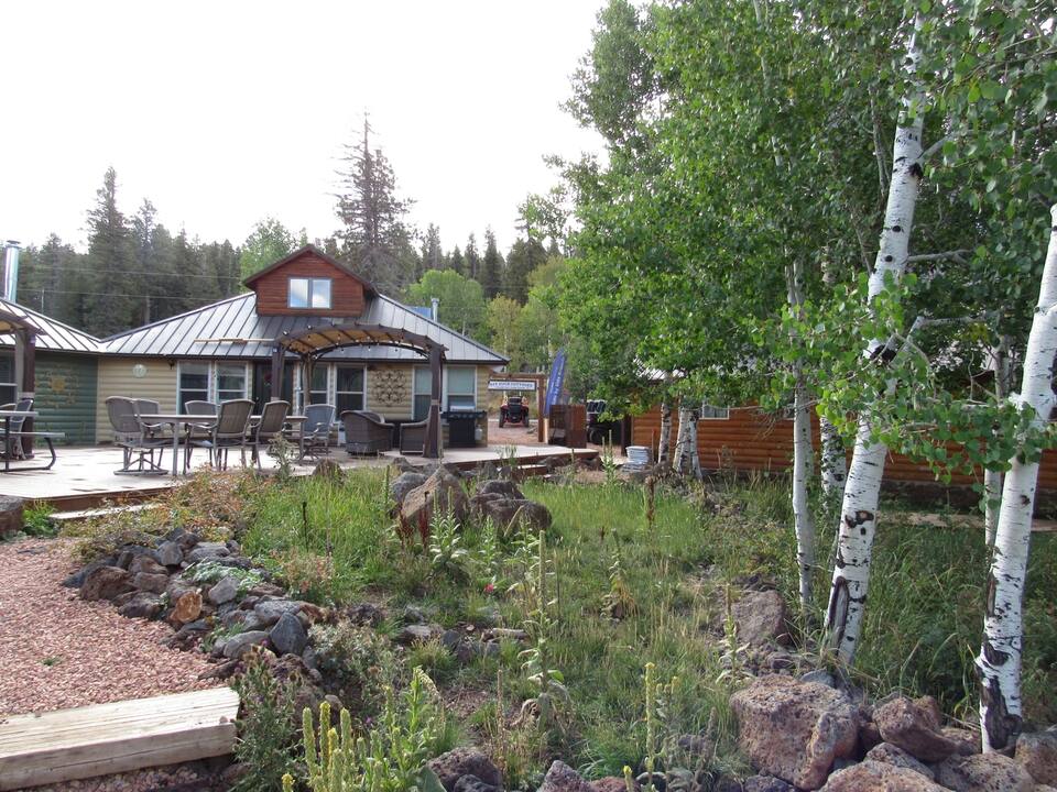 Cabin One photo