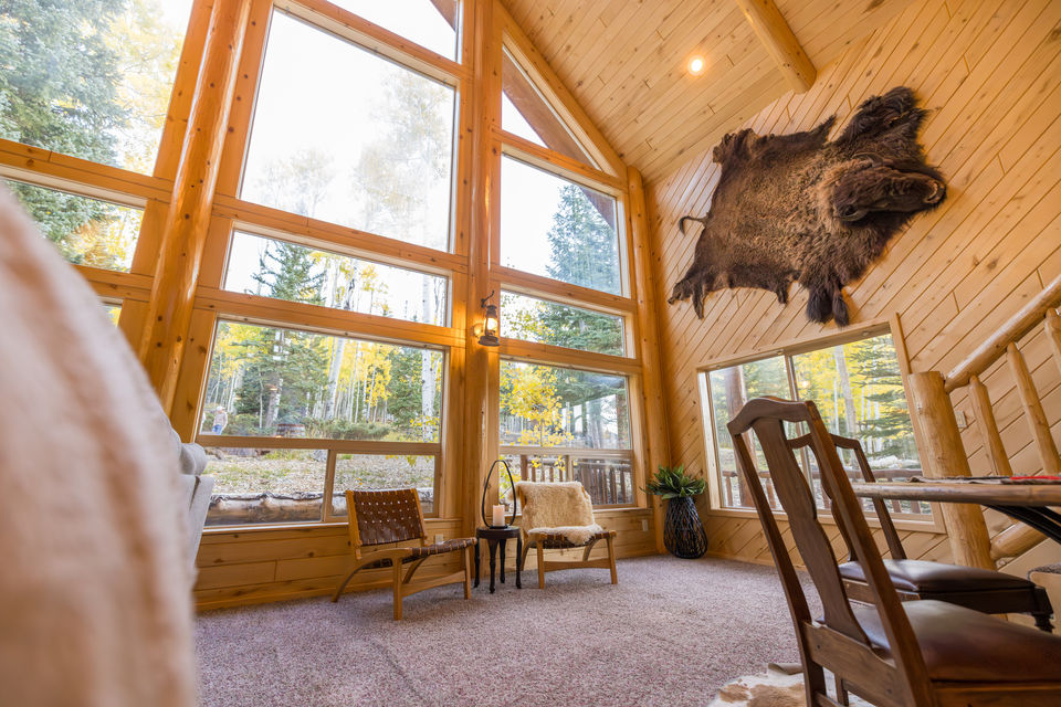 Bison photo