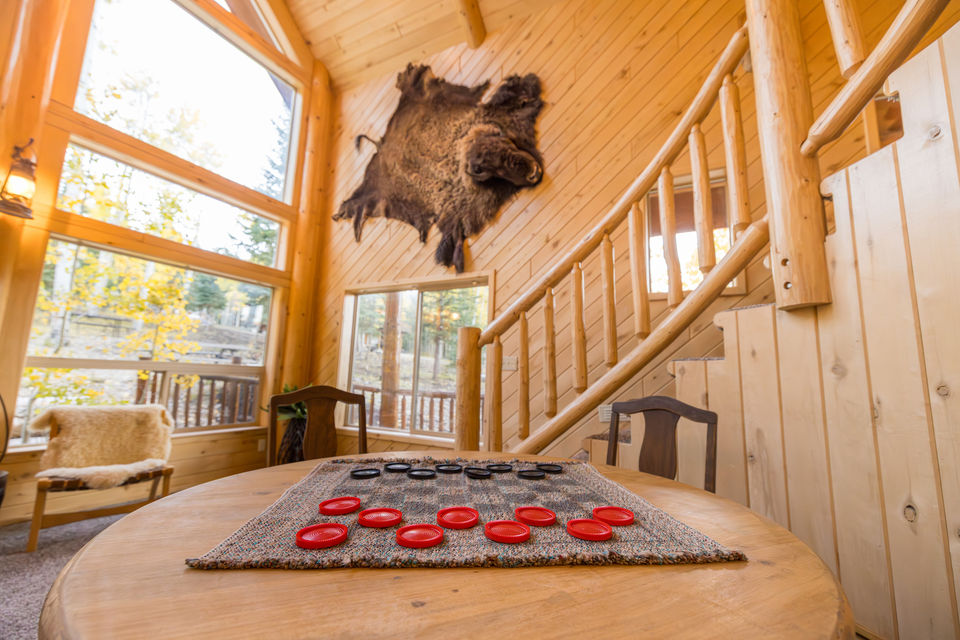 Bison photo
