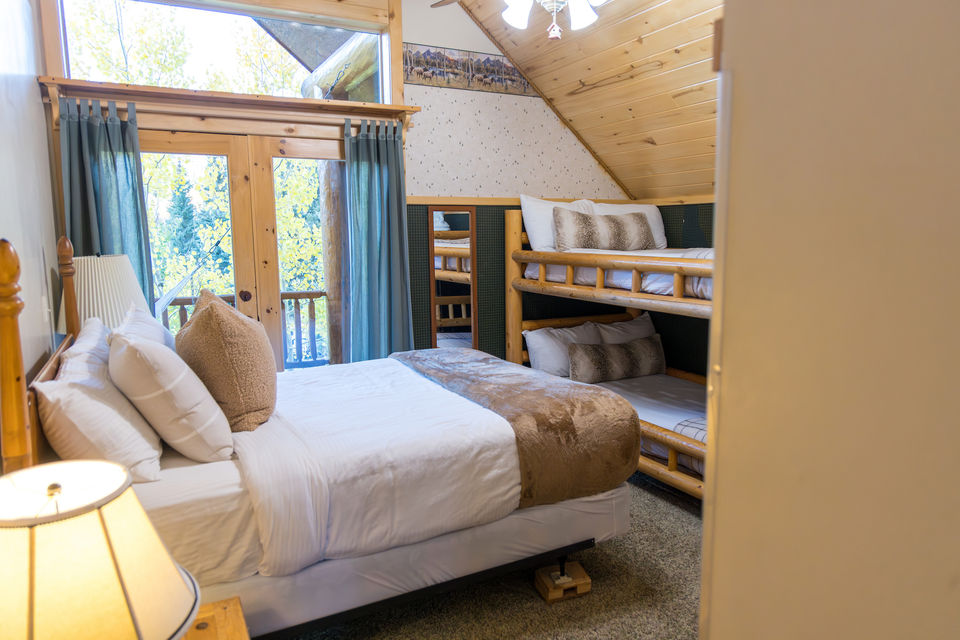 Bison photo