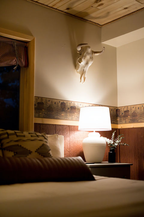 Bison photo